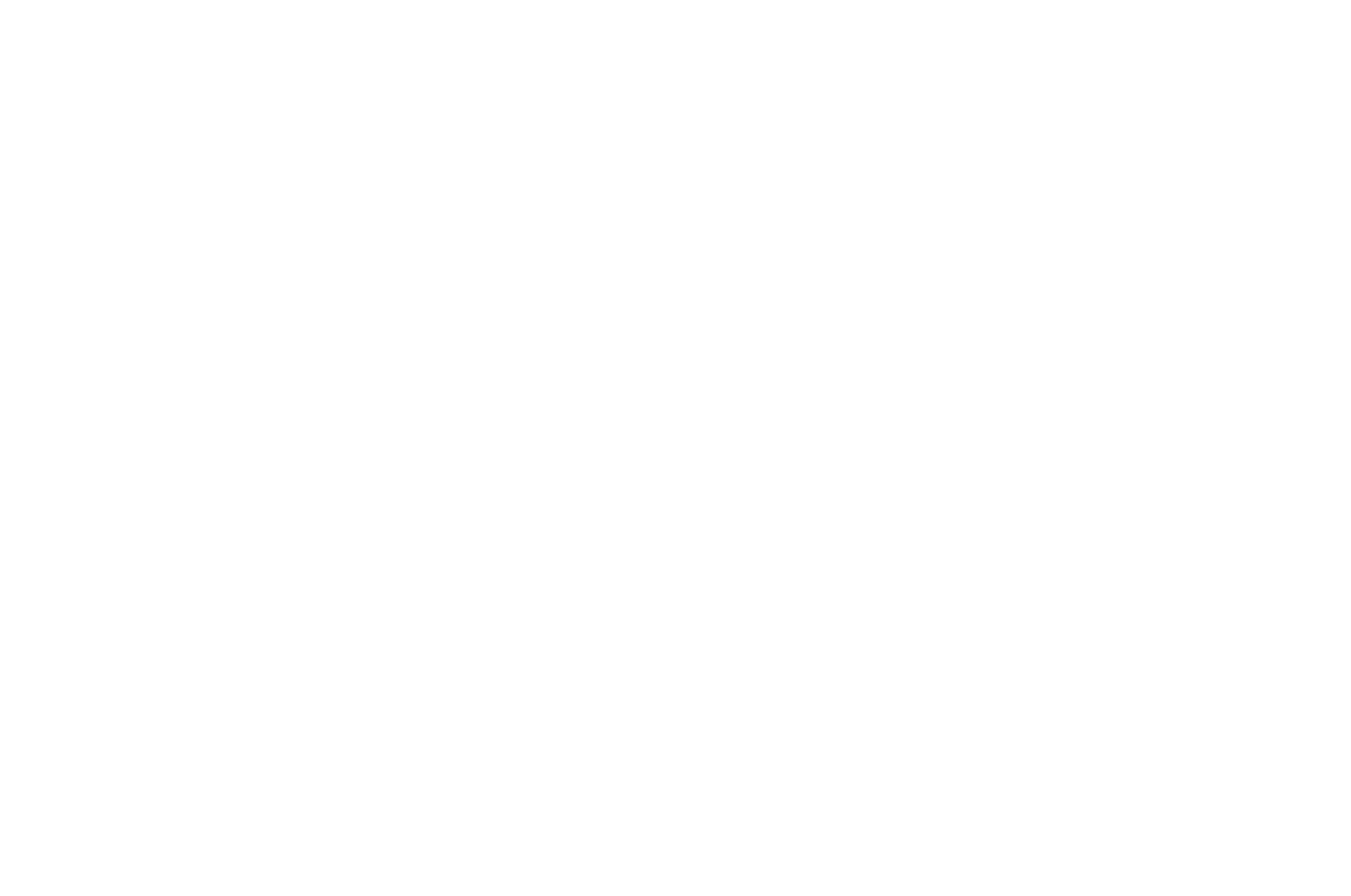 Whoops Film Festival